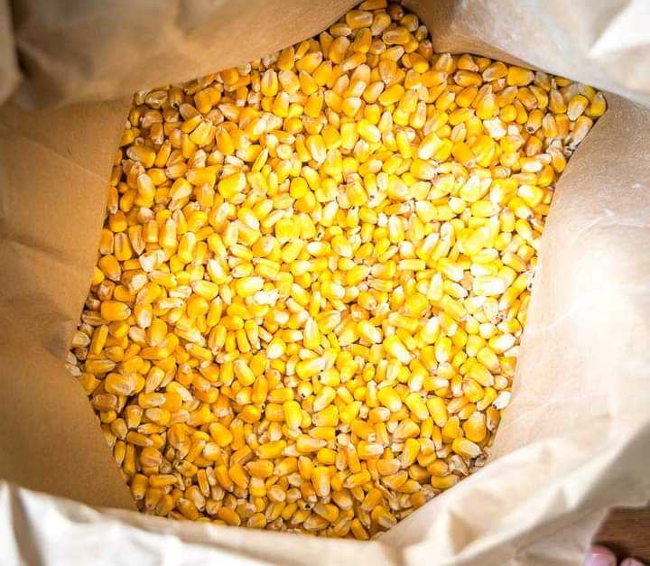 Maize Price Hit Record High In Mangochi