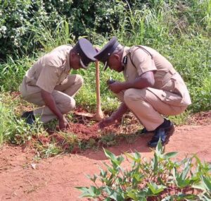 MZUZU POLICE OC LEADS CHARGES IN TREE PLANTING