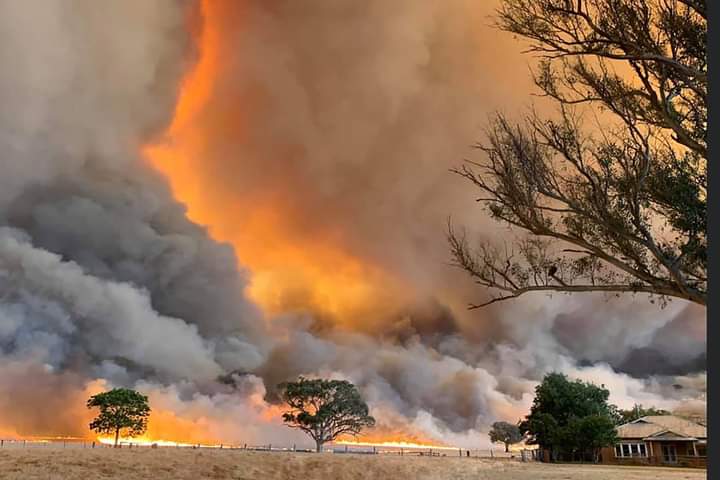 Raiply Limited Issues Statement On Harmful Bushfires
